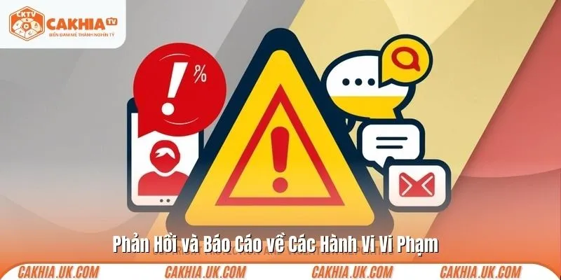 Phản Hồi và Báo Cáo về Các Hành Vi Vi Phạm