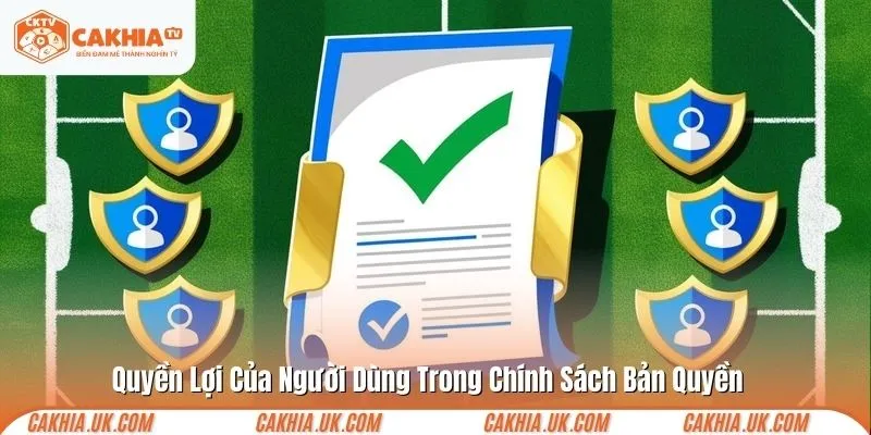 Quyền Lợi Của Người Dùng Trong Chính Sách Bản Quyền